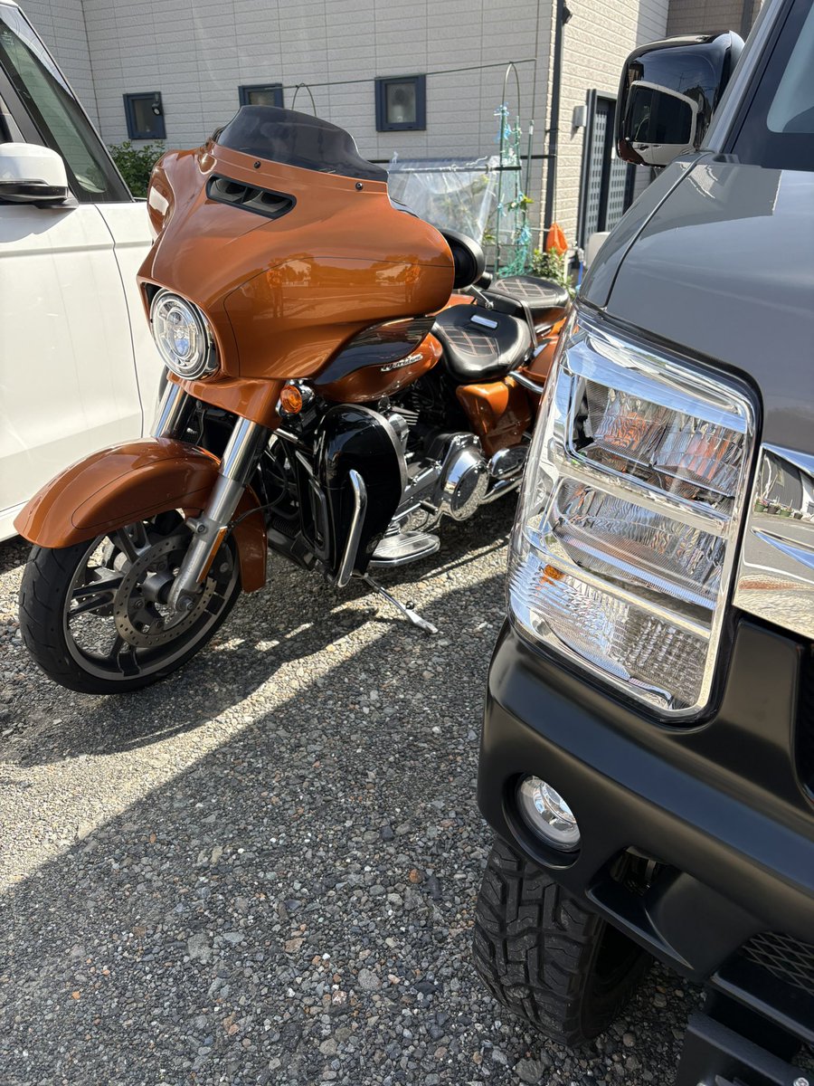 まこっち@FLHXSｽﾄｸﾞﾗ🛵大将公認 🍣🍣誠寿しアンバサダー🍣 tweet media