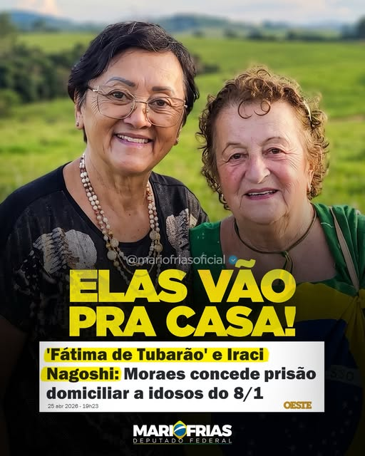 🇧🇷Zelia Fabro22🇧🇷 tweet media