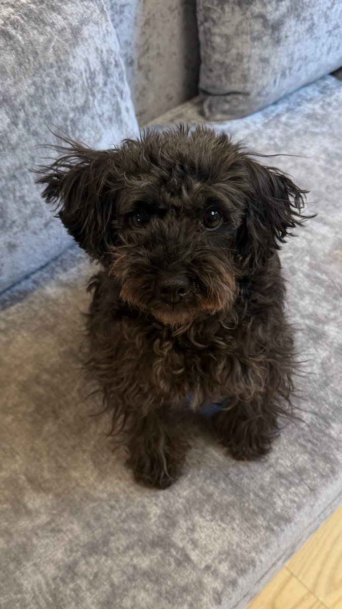 橋本環奈 tweet media