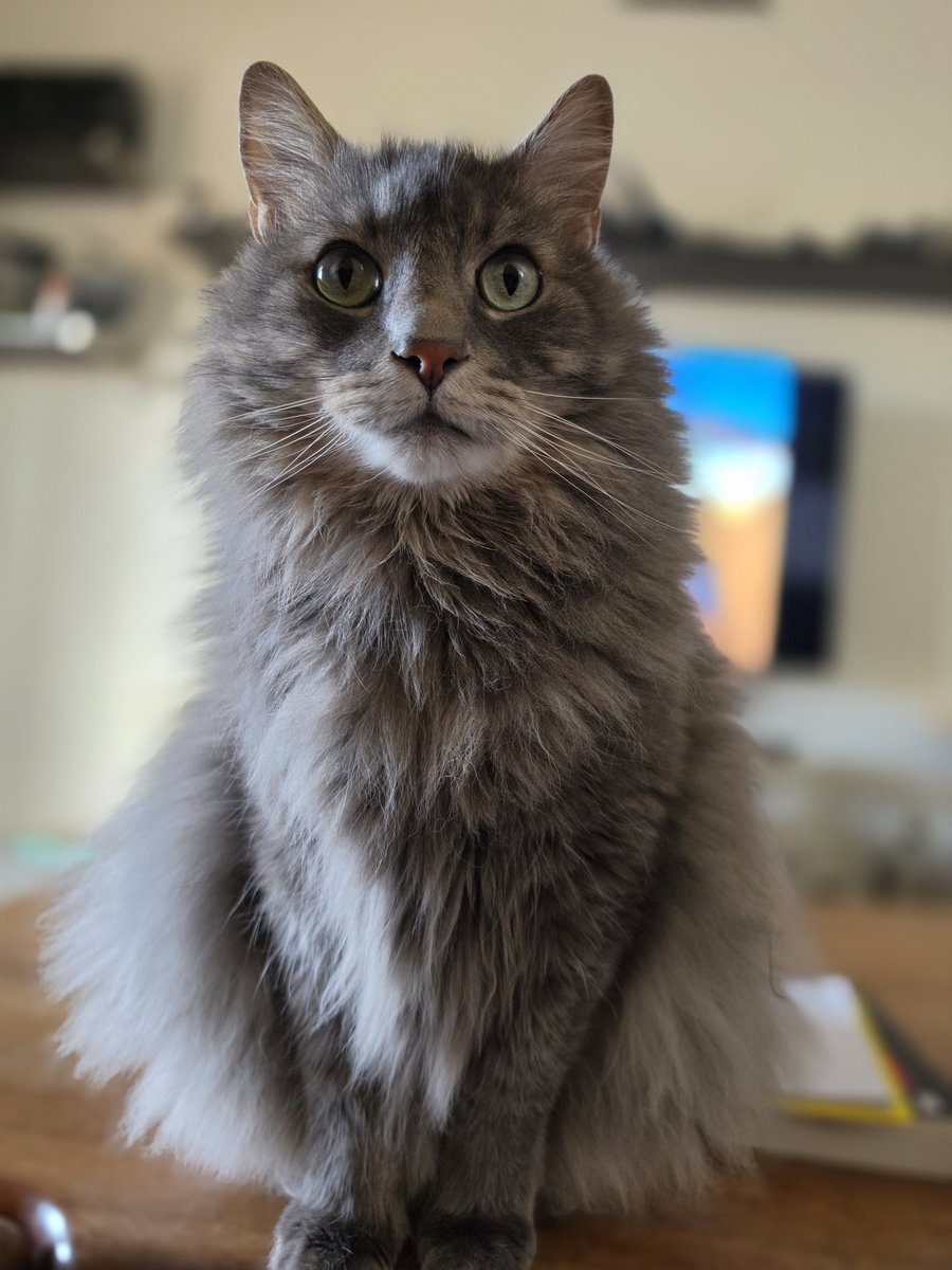 Syked___'s tweet photo. He's so handsome https://t.co/C1vYEbwAQZ
