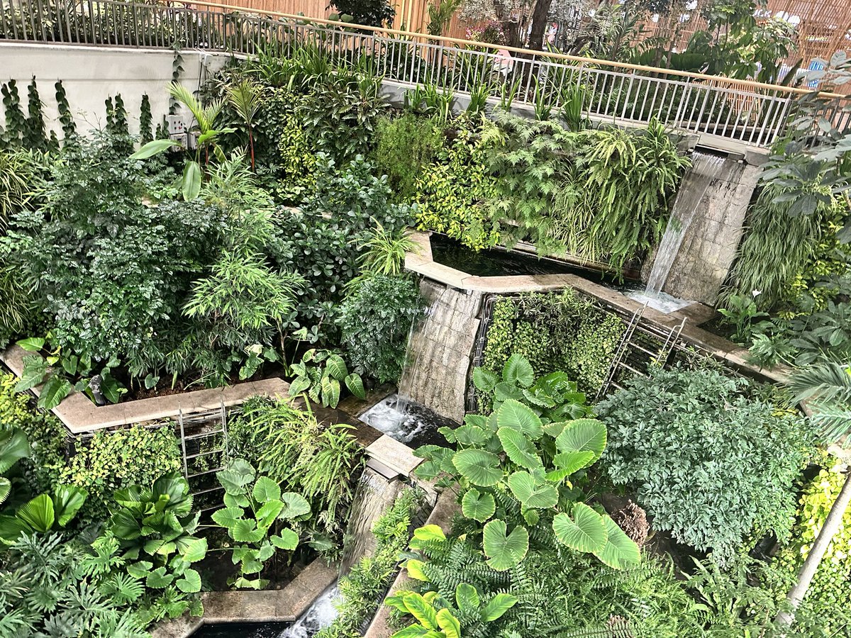 arikaplan1's tweet image. #bangalore airport - so gorgeous

#india