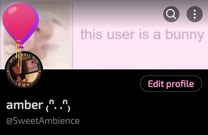 amber ₍ᐢ. .ᐢ₎ tweet media