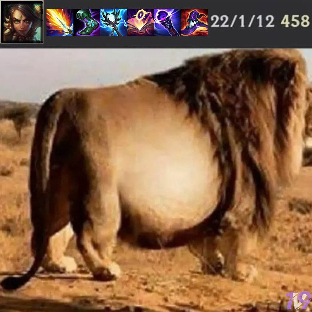 1v9GG_'s tweet photo. https://t.co/8PkR71vWKh