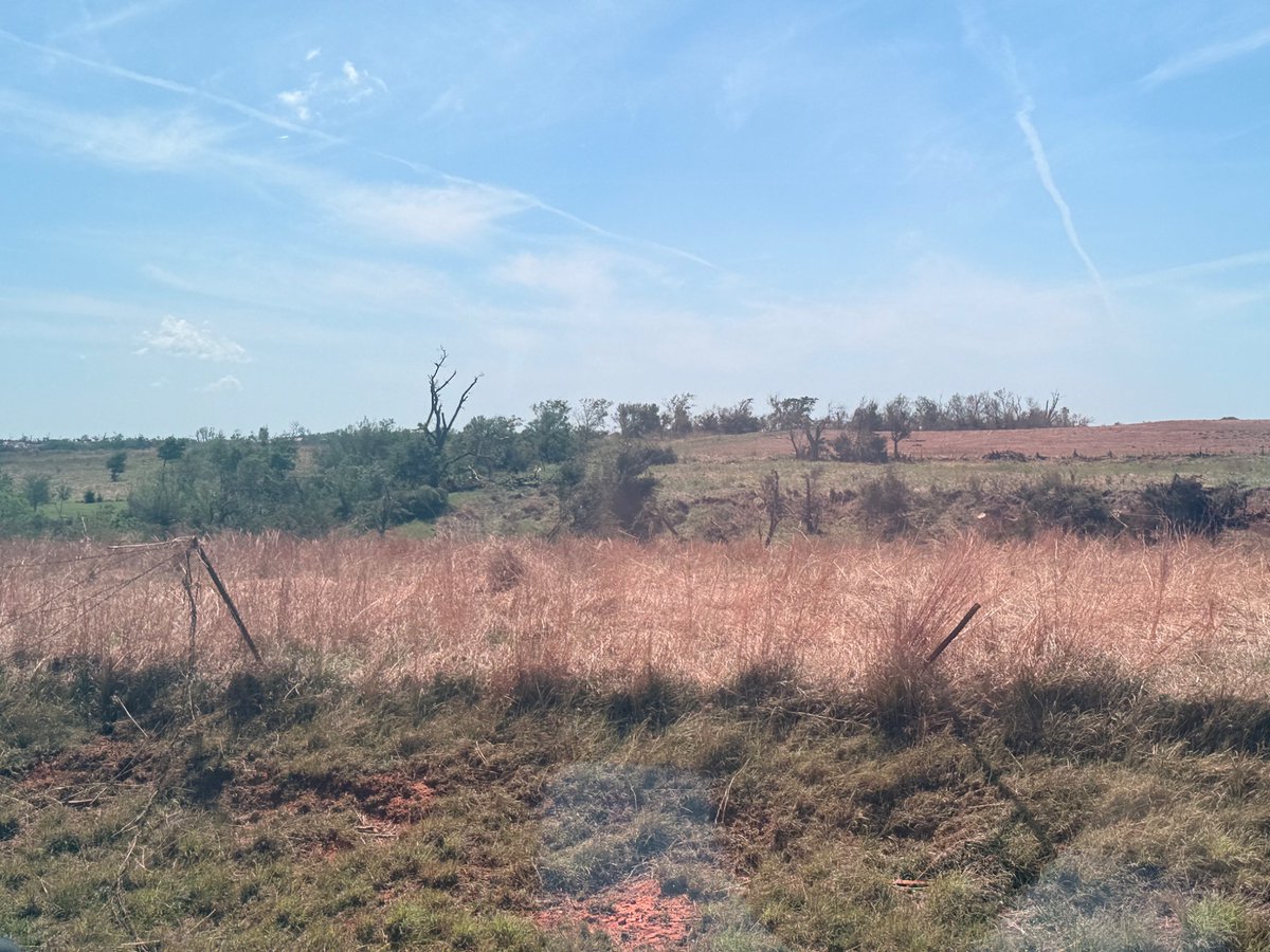 dokie ‼️ tweet media