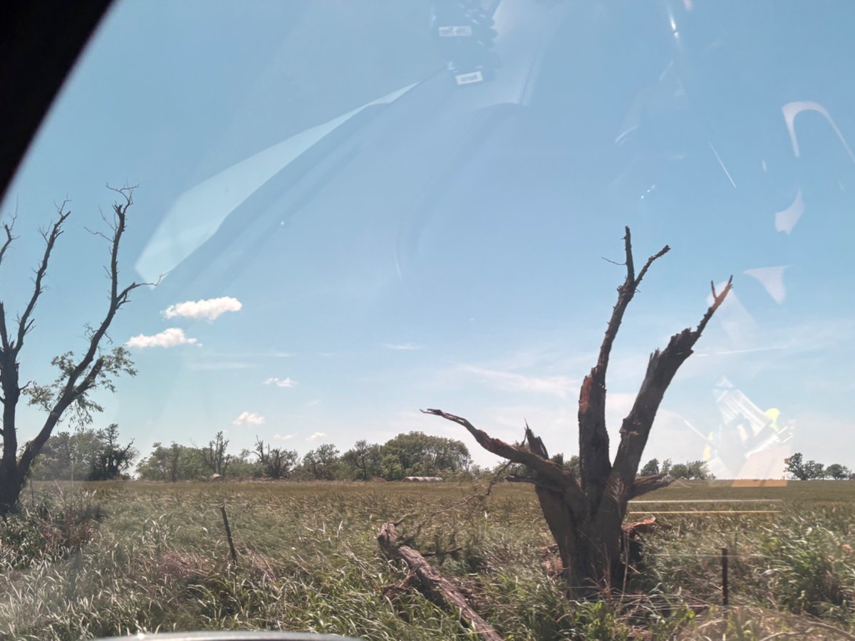 dokie ‼️ tweet media