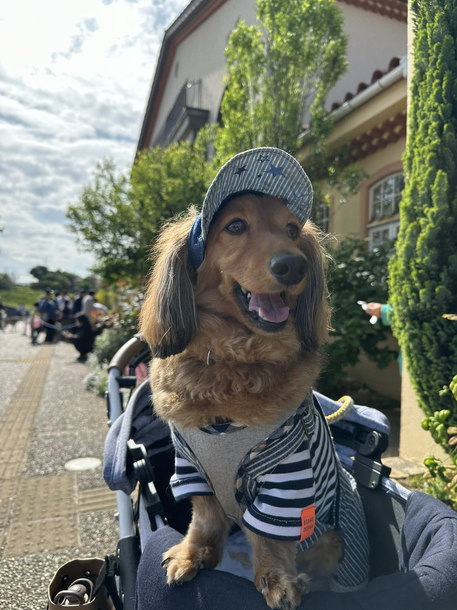 ♡Yoshimin♡@サンちゃんママ tweet media