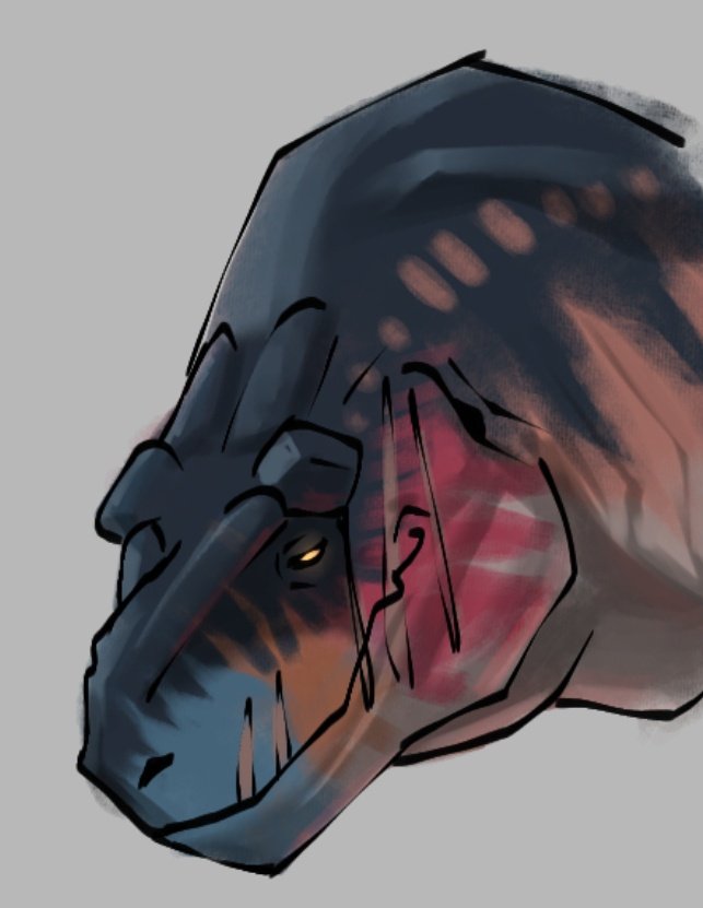 🦖 MR JEFF 🐲🍉( I FEEL SO ORANGE) tweet media