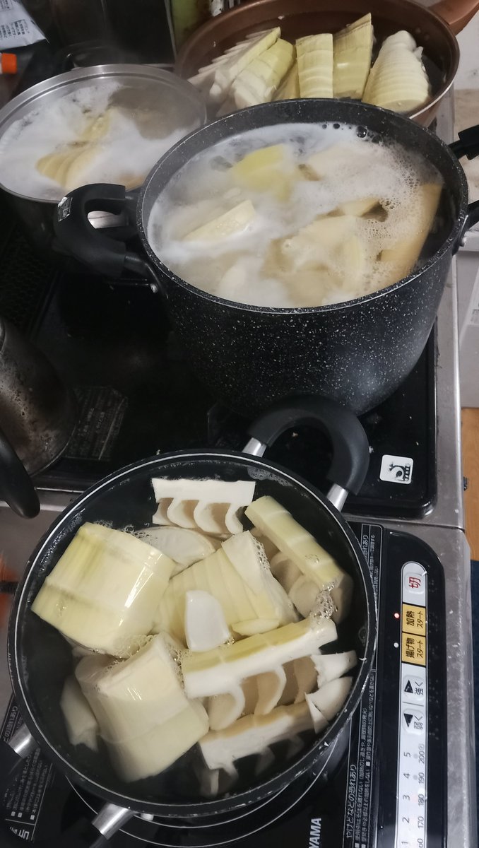 eroaki53's tweet photo. たけのこアク抜きRTA会場 https://t.co/nBoANaf3gh