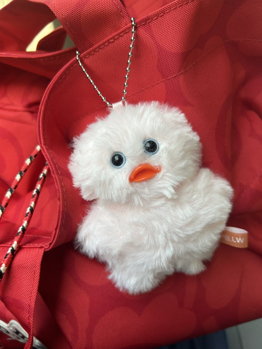 miccipocci's tweet image. わたあめちゃん　って名付けた

#mojojojo
#mojojojoぬいぐるみチャームBOOK