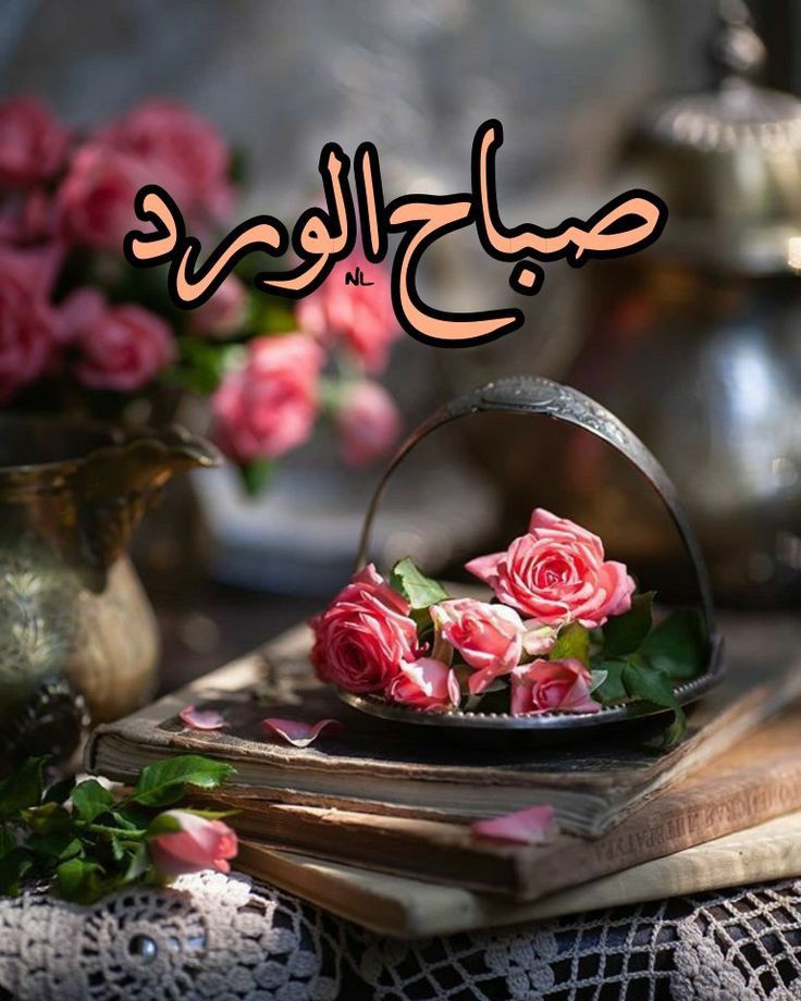 الباشا tweet media