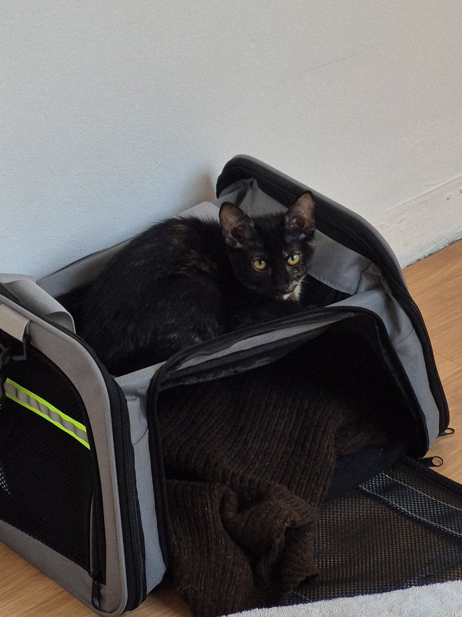 náthalynáthalynáthalynáthaly tweet media