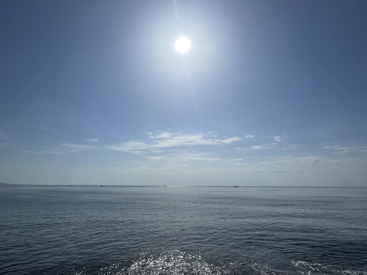 おはようございます

さわやかな風が吹く朝の海

静かな波音が響き

光溢れる

日曜日

ステキな一日を