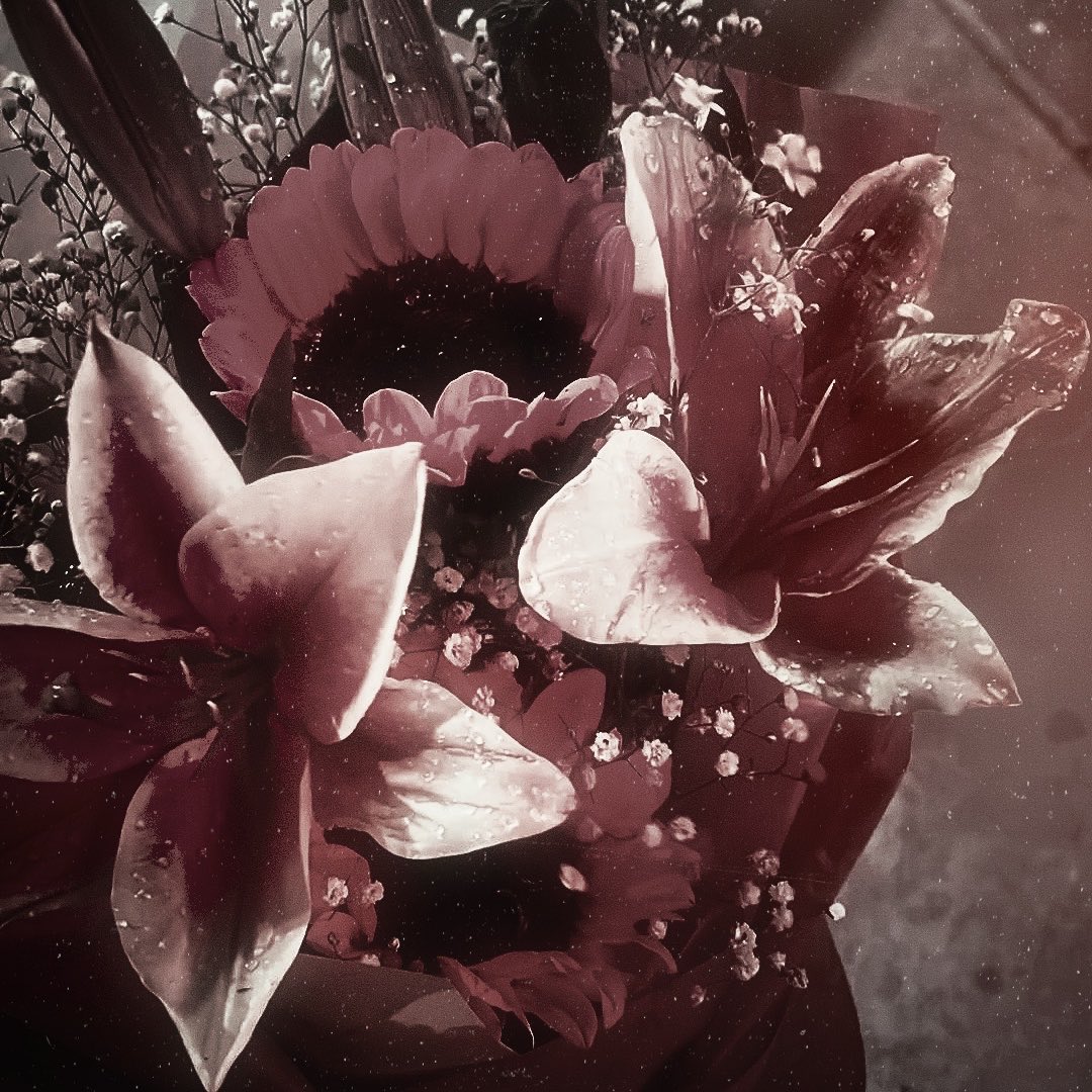 ♯ ⌇ 𝓐nthony. tweet media