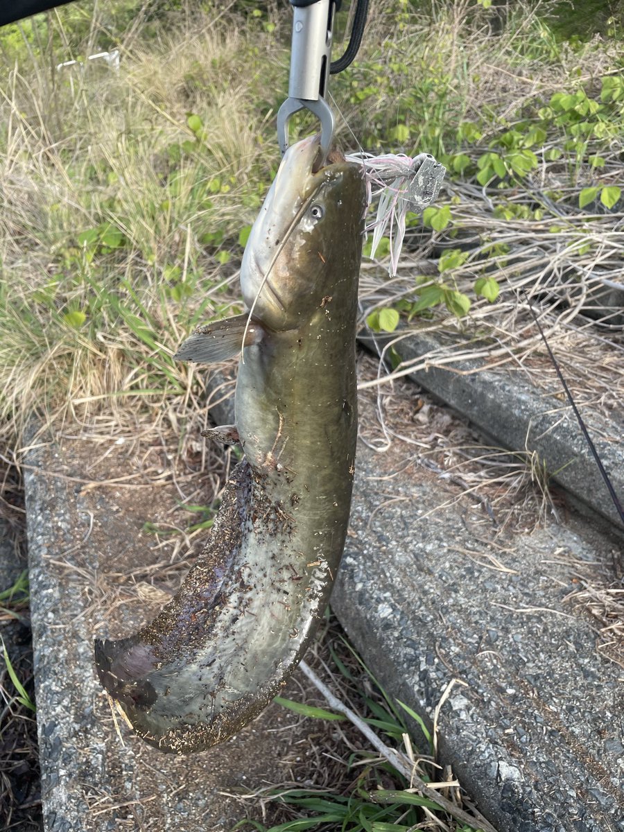 pon@デカハネGP参戦 tweet media