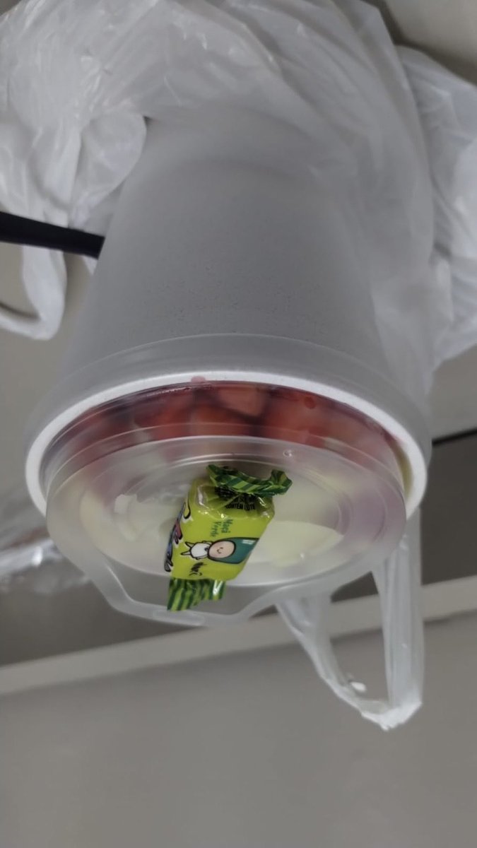 has 𓏲ּ𝄢 tweet media