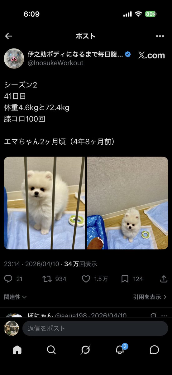 9G8kf's tweet photo. 今日は船橋JPKでレモネードパンケーキのライブだっぺよ✨
おめえは家さ帰ってねぇなあ、あよ？
な、こうすけです（笑）
今日も良い天気に恵まれました☀️
一生懸命楽しみます😊

俺の好きなポメラニアンのエマちゃんが難病との事で凄く心配です。
伊之助さんとずっと一緒にいられますように🙏 https://t.co/dPPnmZUGWR
