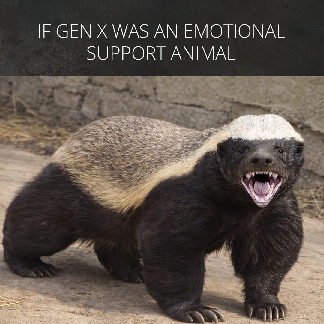 ☕️ Remi Girl ☕️ tweet media