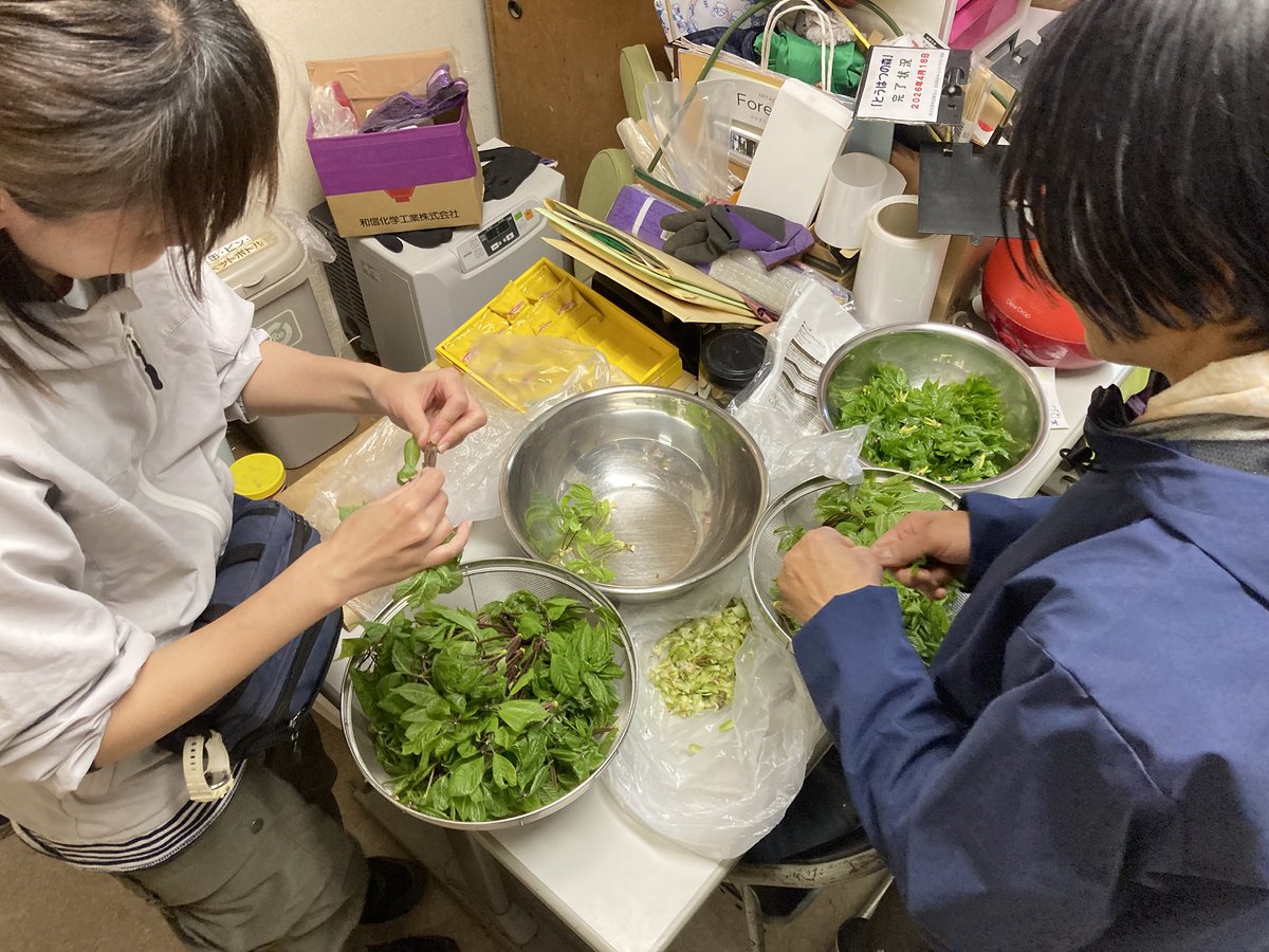 mifi_koushiki's tweet image. 【事務局】
天ぷら職人の朝は早い。
#宮城県 #利府町 #mifi #もりもり教室 #自然体験 #プロフェッショナル風