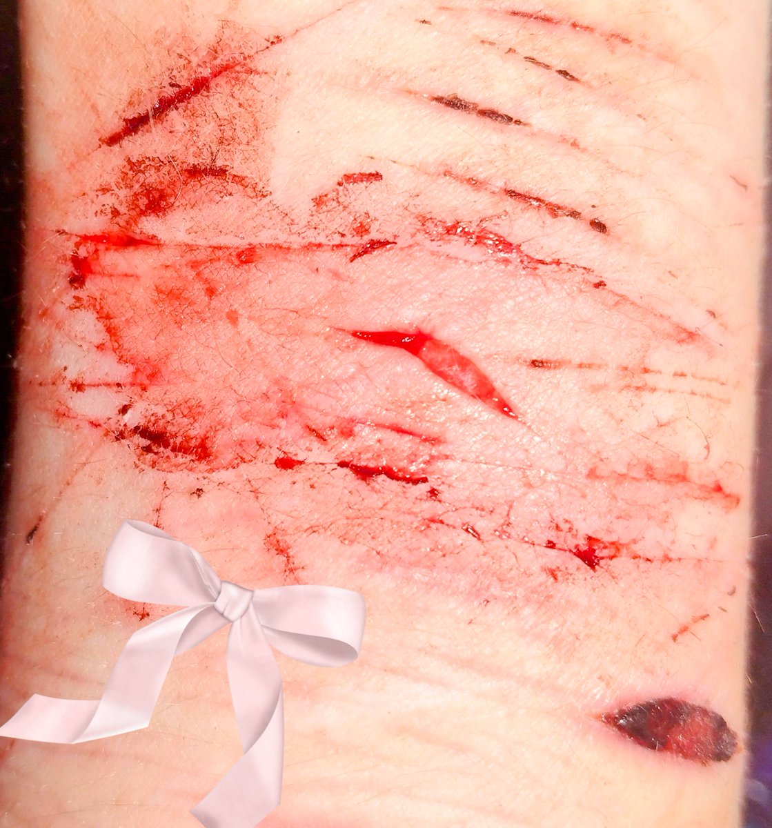 ~\\+badware of shedtwt+//~ tweet media