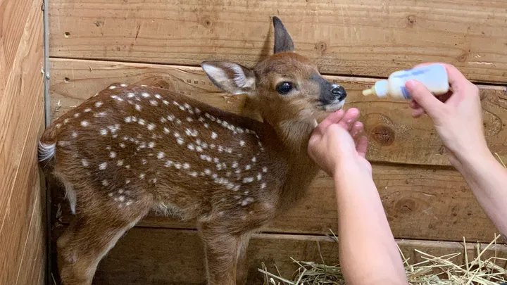 Meta.ETH tweet media