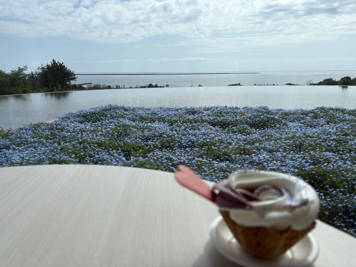 トミィィィィィ tweet media