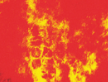 Therealclancy3's tweet photo. @THE_PROTOTYPE95 Also blurryface is in the distance, burning, there was lots of symbolism of blurryface or clancy burning but it didnt happen?? Also in bandito it says "like nicknames they give themselves to uninspire", clancy is a nickname, but the fpe badge is also a nickname https://t.co/PfD0xpED20