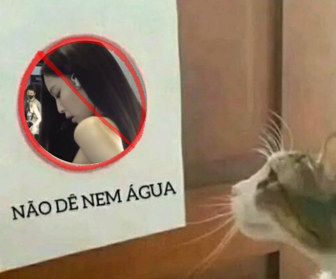 sangue 🍋‍🟩 tweet media