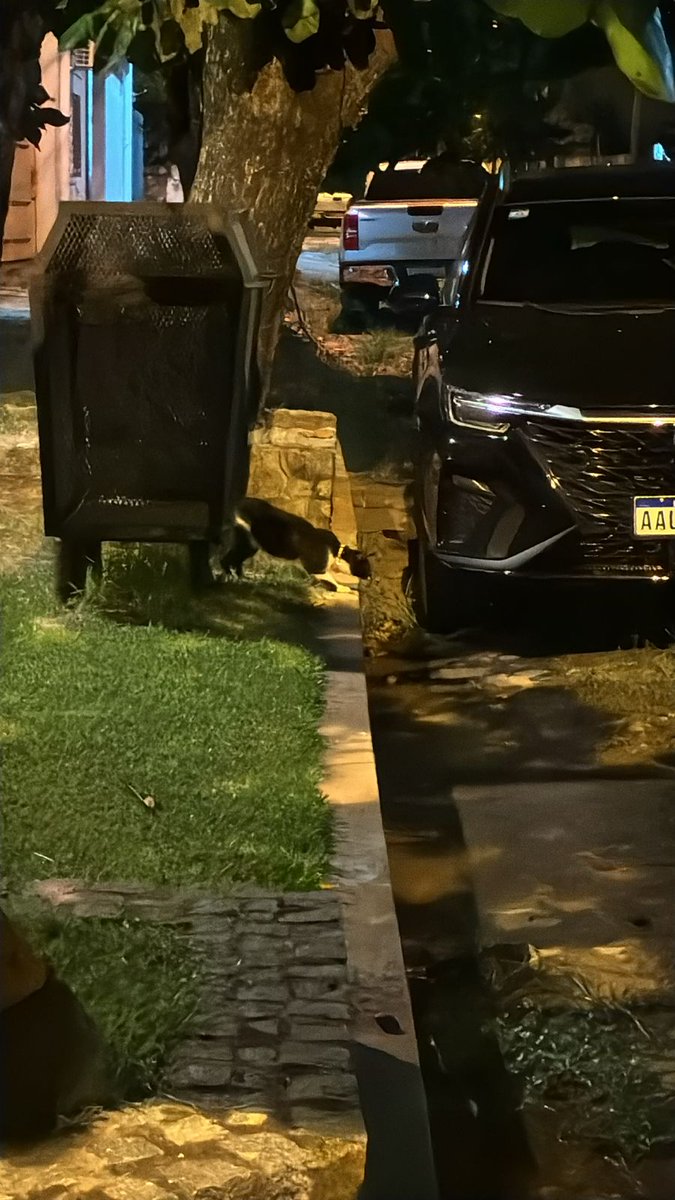 Stephie Bogado Tervit #80547 tweet media