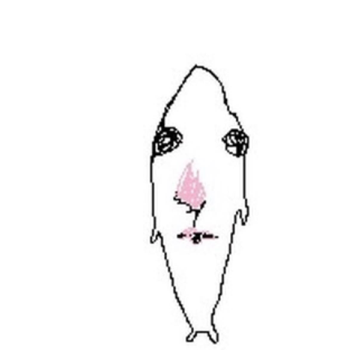 Sukai Fans Midwest tweet media