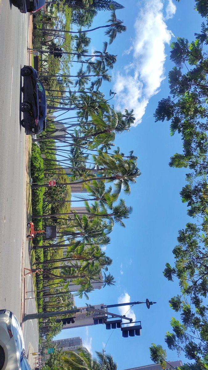 mana__'s tweet photo. 快晴🌴☀ https://t.co/MMBYvPd26H