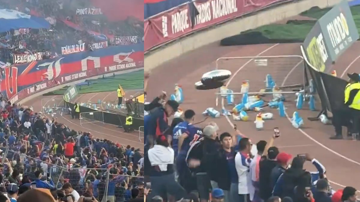 Cooperativa tweet media