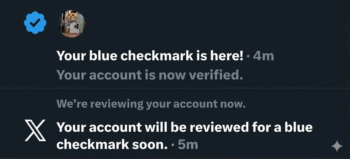 IΞMMY✨ tweet media