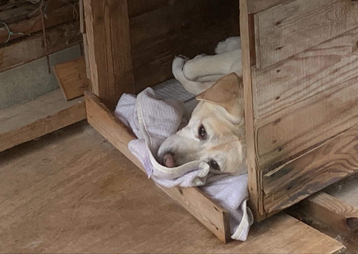 小屋の中でネテル