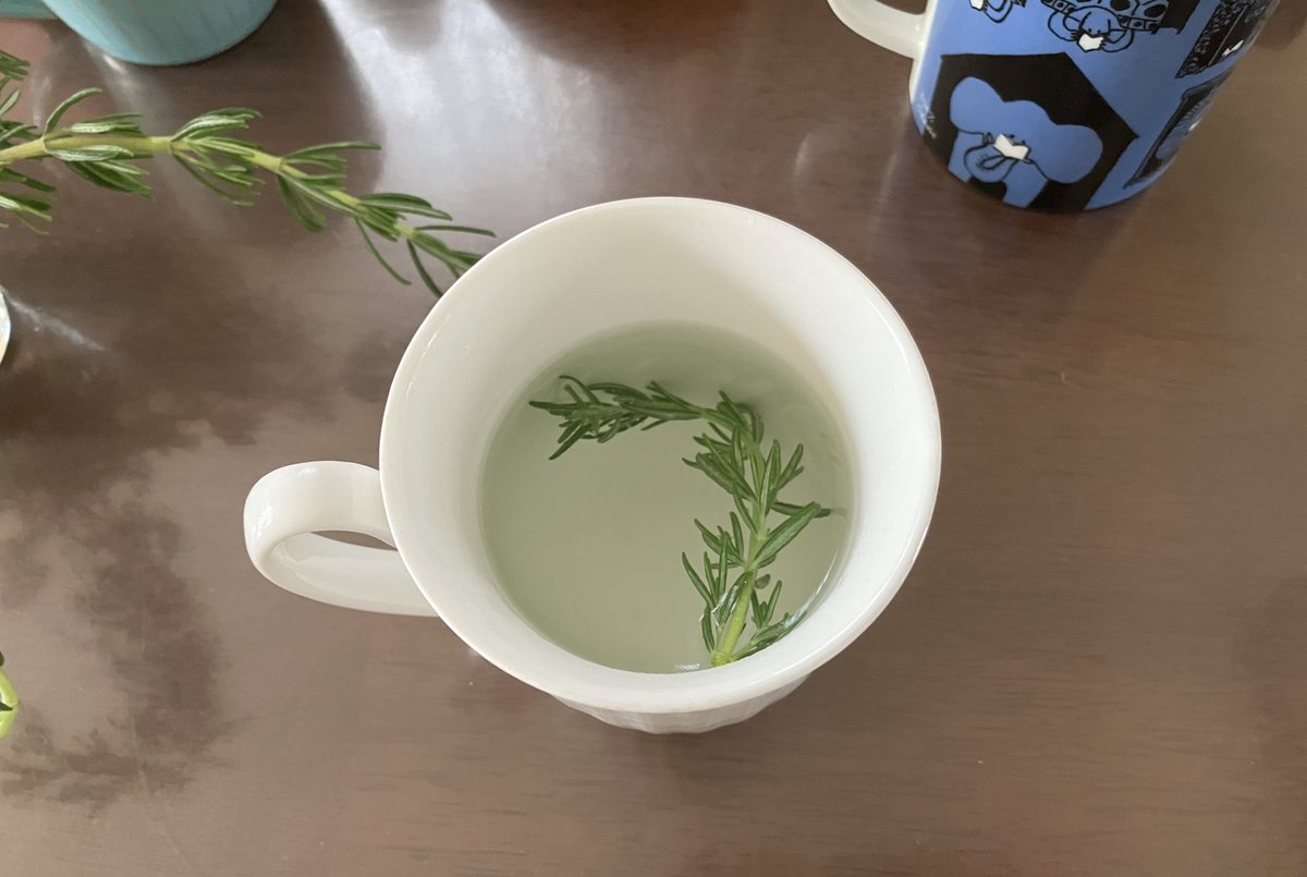 庭で過ごすのが気持ちいい季節。ローズマリーはいつも元気が良くて花も咲く。お茶にしていただくのも好き。