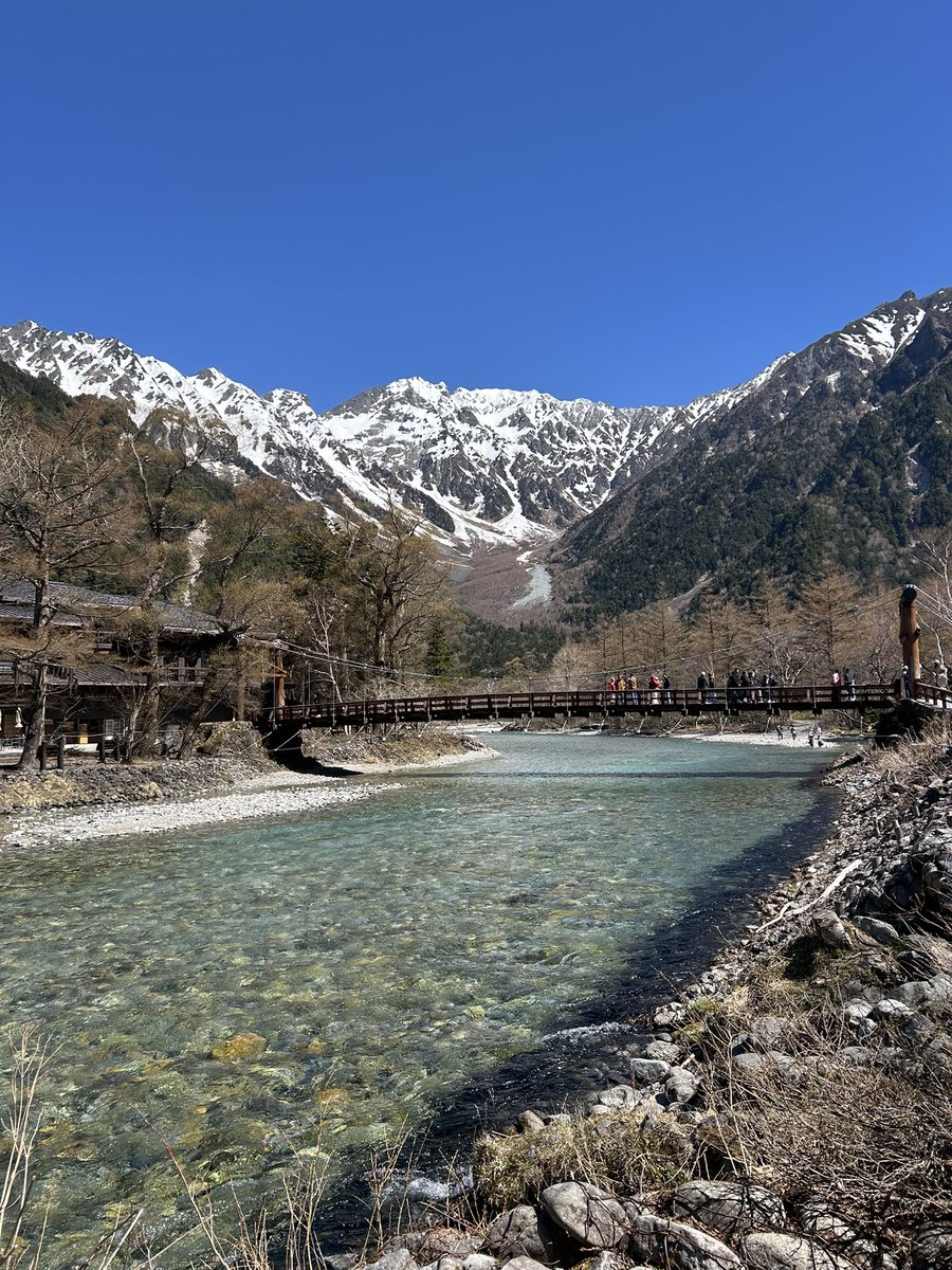 安田明夏 tweet media