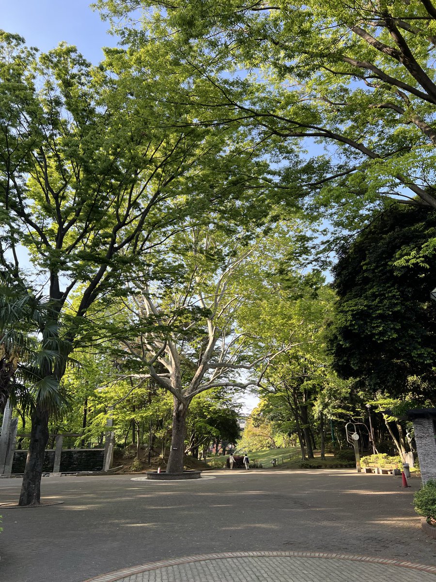 MottaUpdate's tweet photo. 今朝はここから
📍蚕糸の森公園 https://t.co/D1VUmkvwBc