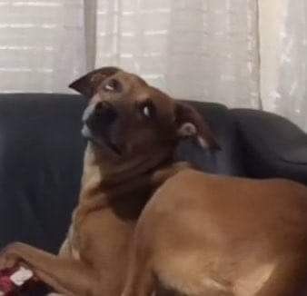 𝘼𝙣𝙙𝙧𝙚𝙖⁷⁼¹🇨🇴 ᵛᵉʳᵃ ᵃ ᵇᵗˢ ⊙⊝⊜ tweet media