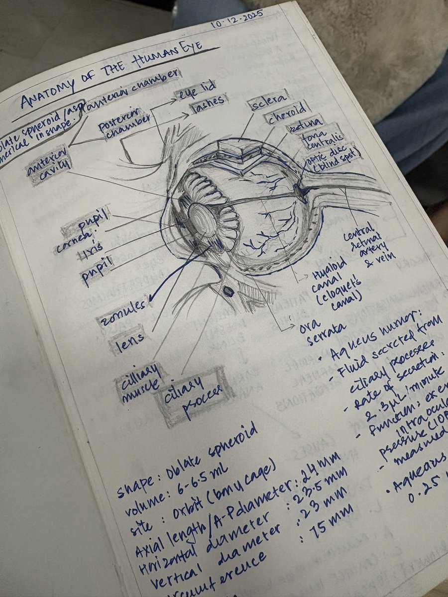 benadryl bhutto tweet media