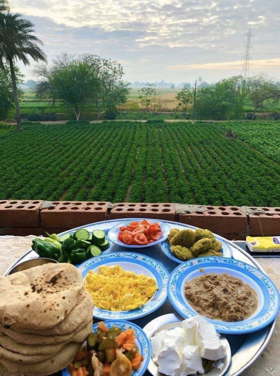 aseelswaid9's tweet photo. Breakfast from the countryside of Egypt https://t.co/azyMq2UHB6
