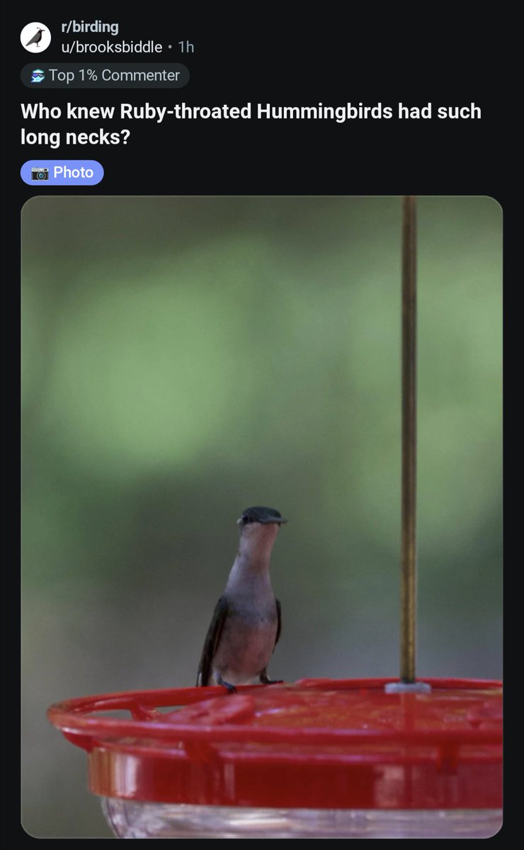 houndstooth balance tweet media