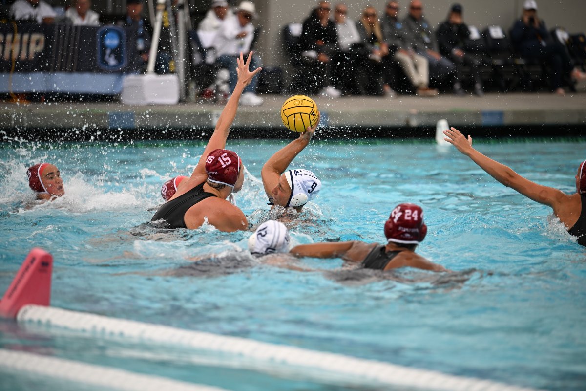 Cal Women’s Water Polo tweet media