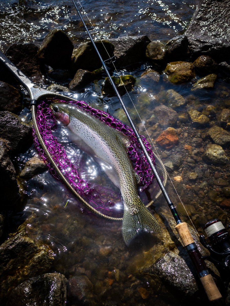 Koh nabe tweet media