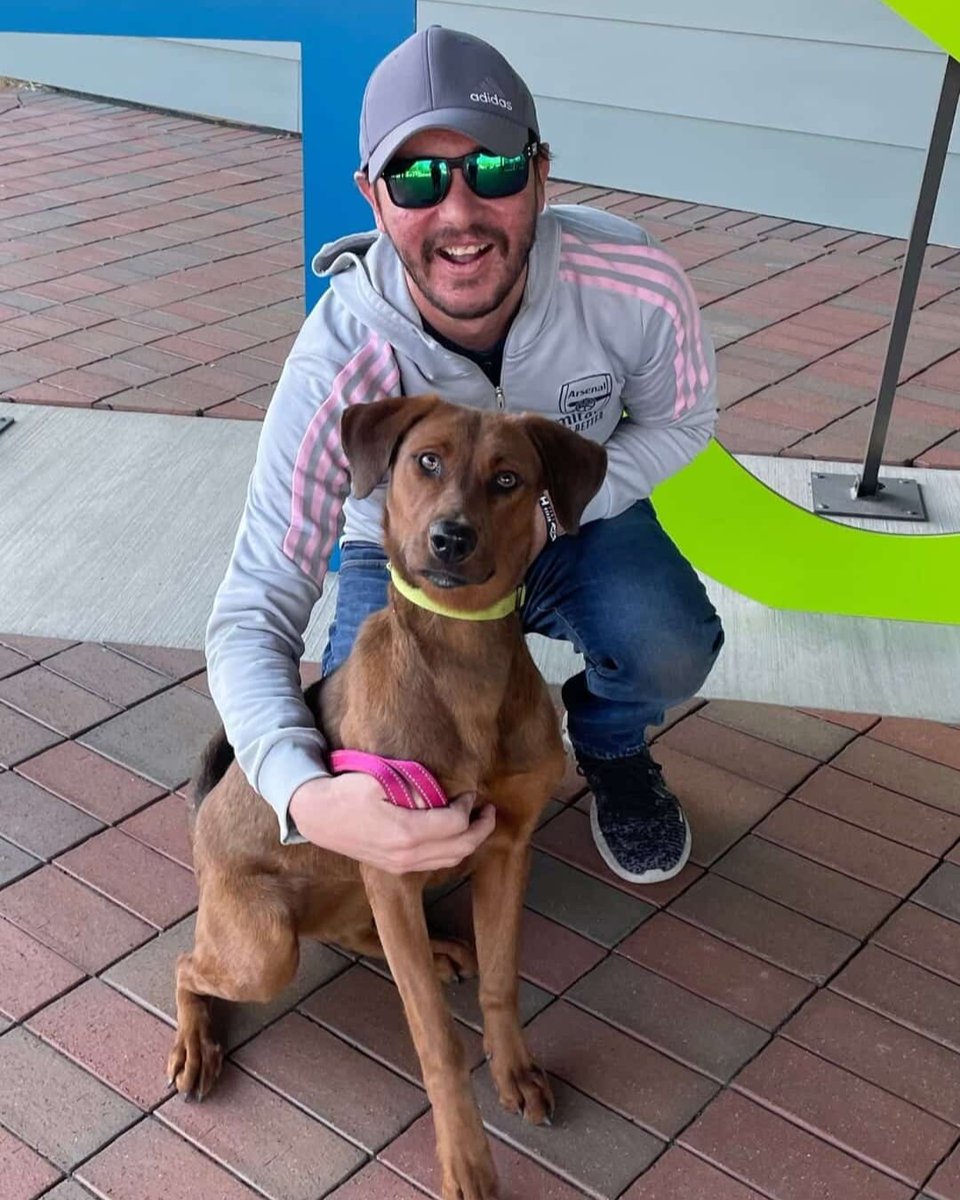 Humane Society of Charlotte tweet media