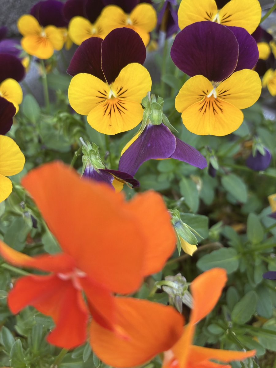 WbdICRlwzo1RMiP's tweet image. 心を蔑ろにする生き方！！

もうやめよう😌🤲

＃ST
＃医療
＃福祉
＃死生観
＃介護