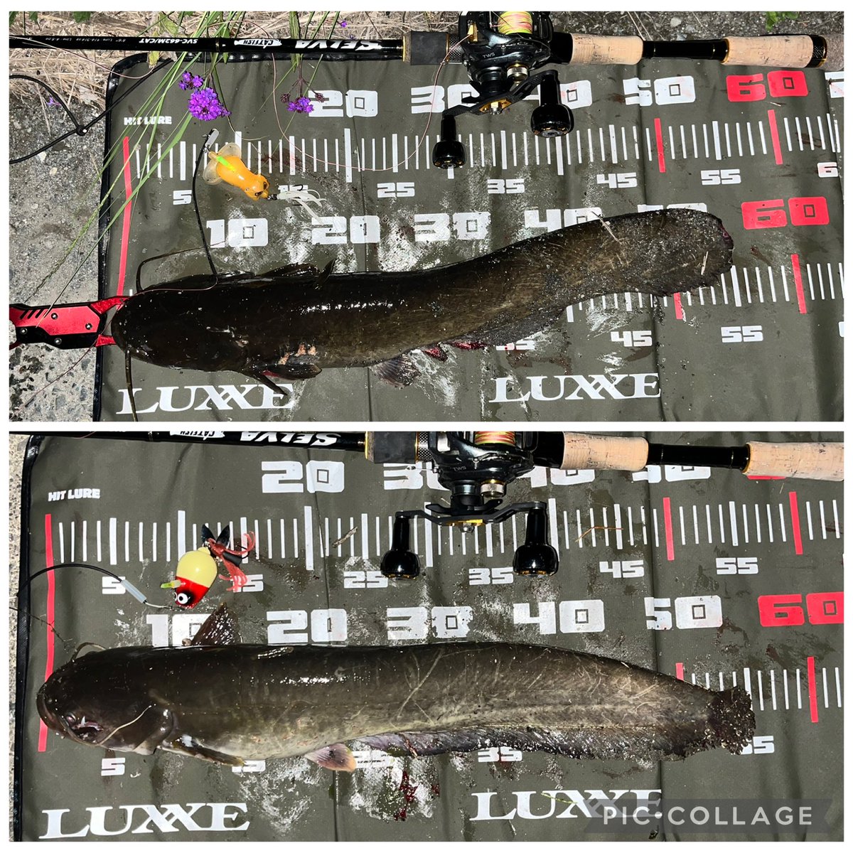 寺田鋸刃物店　浜松市浜名区（旧北区） tweet media