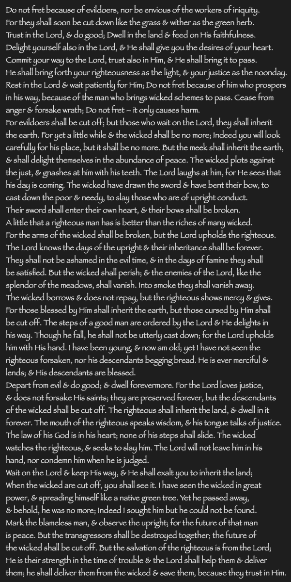 Grace Louise tweet media