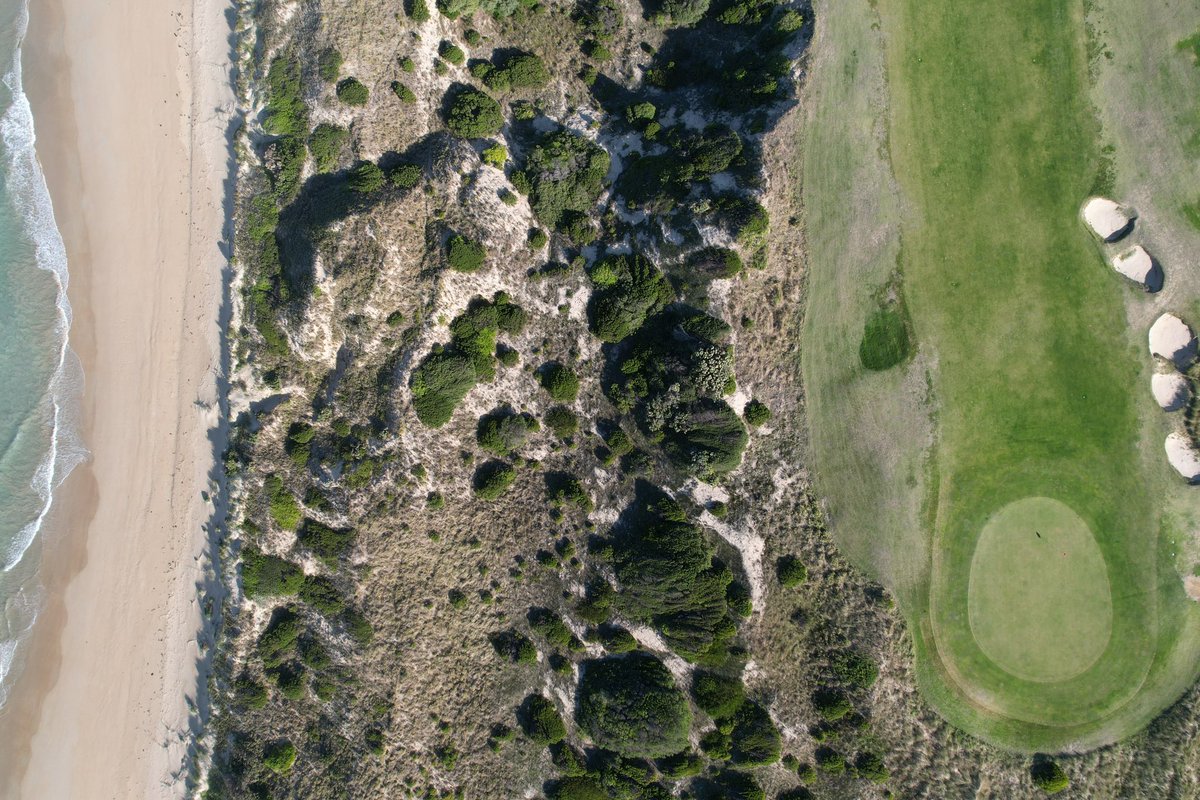 Alex Strauch tweet media