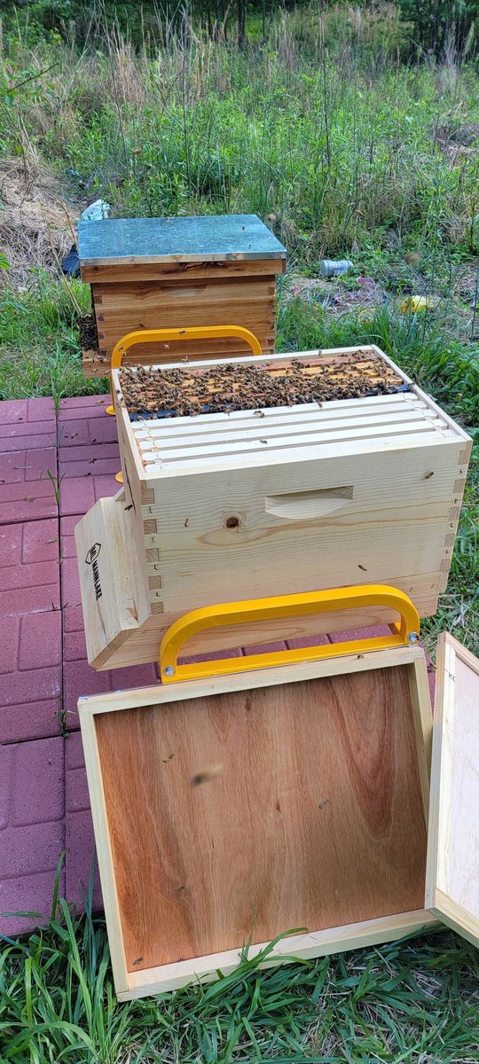 bluemule2020's tweet photo. Building a new bee yard https://t.co/YJ2FqxZ8Pj