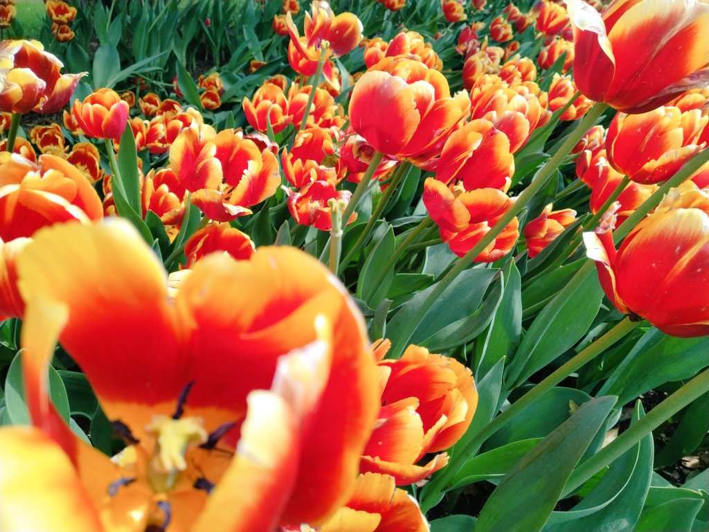 ろんぐ tweet media