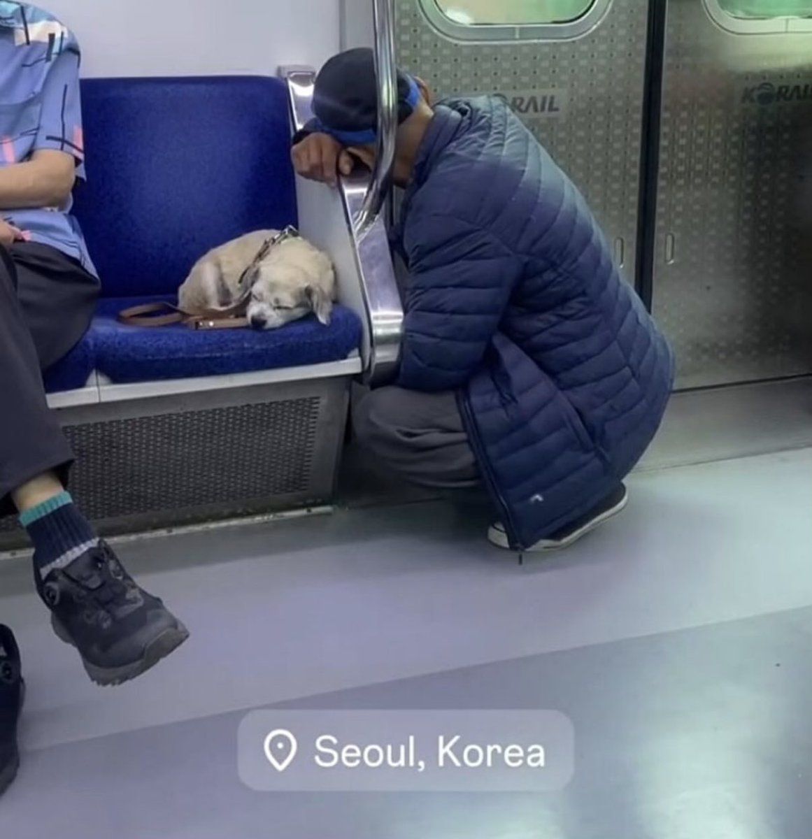 외국인이 찍은 1호선 사진 

강쥐가 좀 아픈가,,